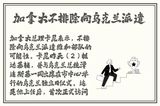 30种BB形态哪种最好